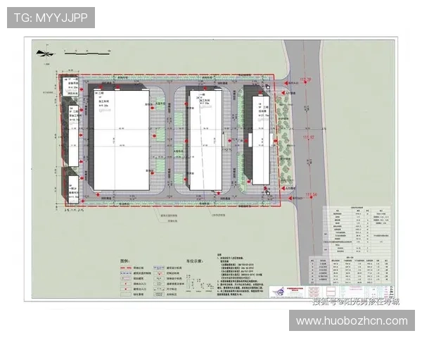 365速发国际在全球布局中不断优化仓储与配送体系提升客户体验 365速发国际在全球布局中不断优化仓储与配送体系提升客户体验