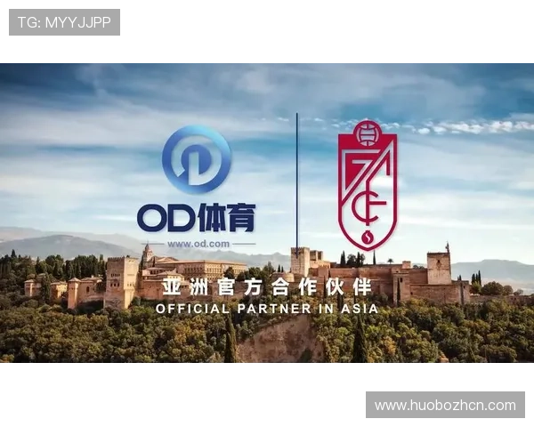 OD体育网站app常见问题与解决方案汇总帮助新手用户快速排除使用中的常见困扰